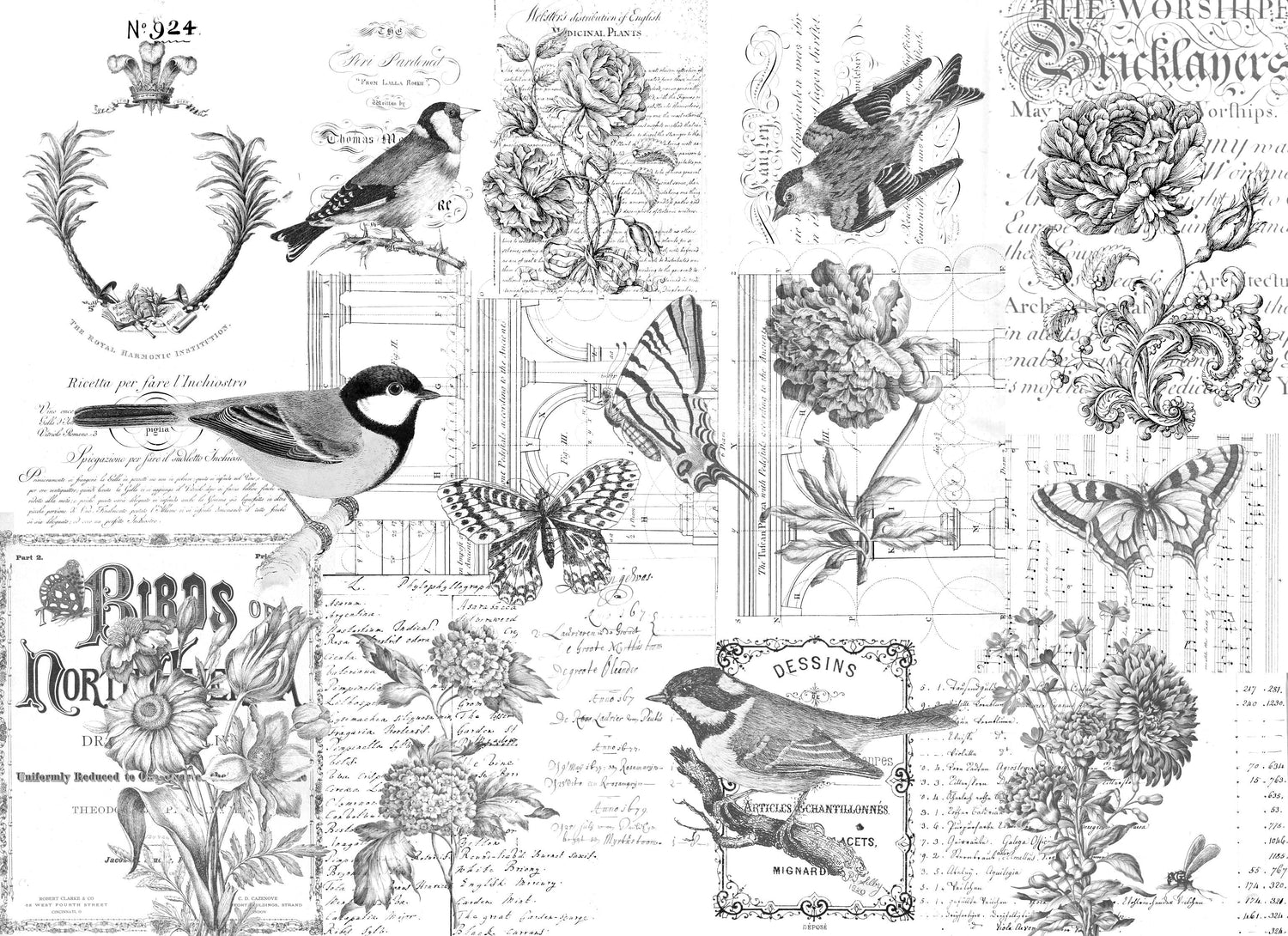 Roycycled Decoupage Spring 2026