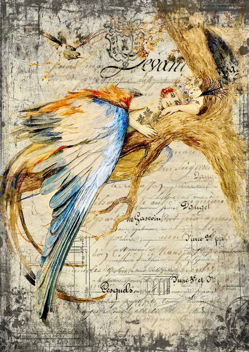 Decoupage Queen - 5 Year Birthday Collection