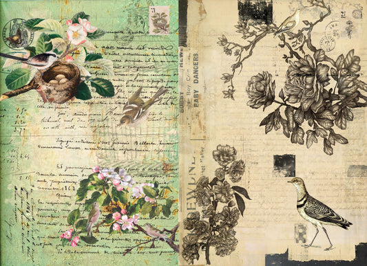 Pre - Order - Botanical Blocks -  Decoupage Paper - Roycycled Treasure