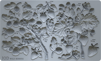 IOD -  Wild Berries Décor Mould