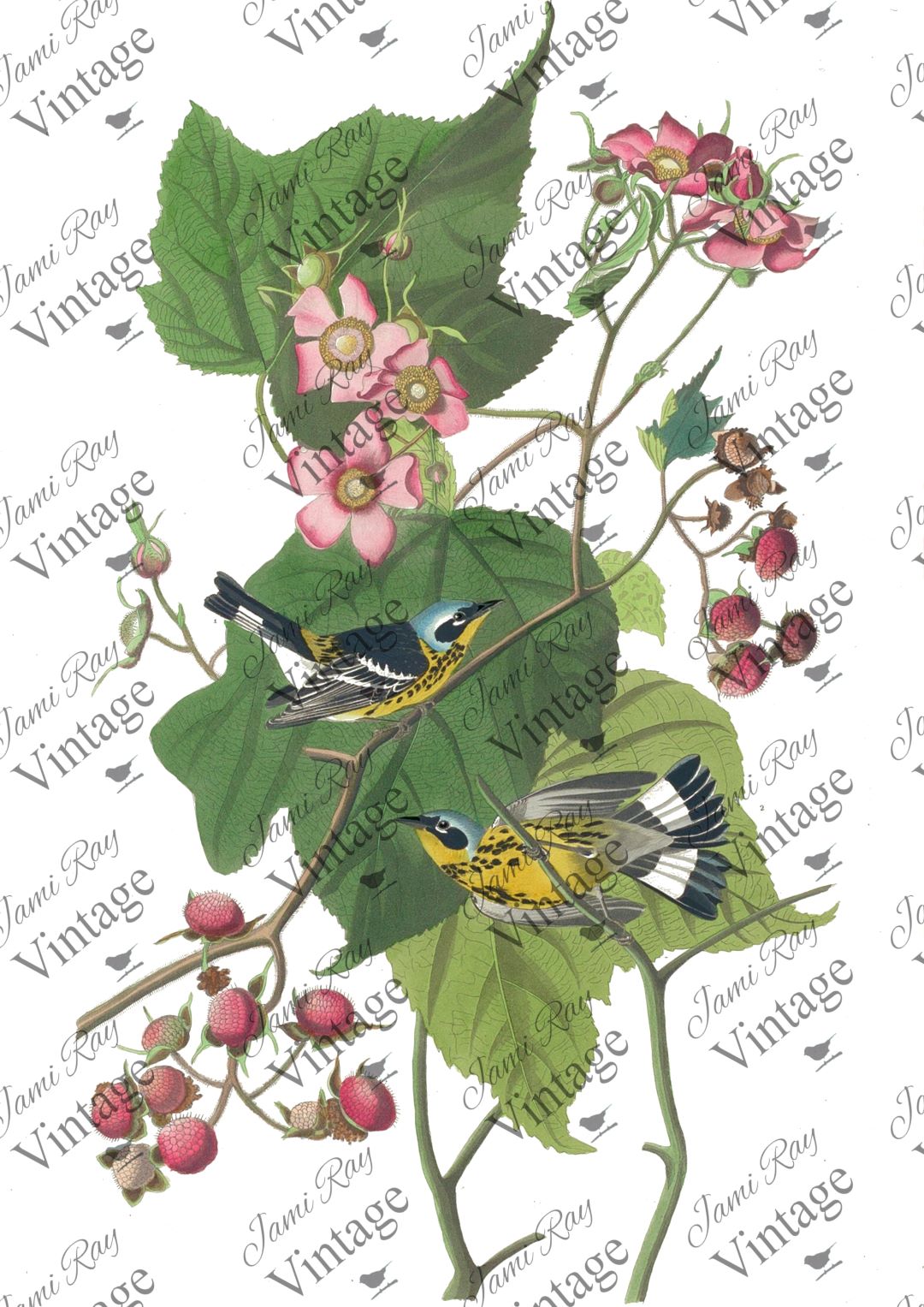 birds and Roses A4 JRV Rice Paper