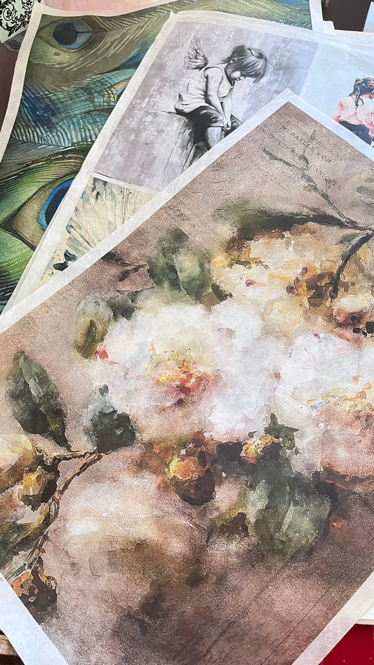 The Gathered Paper Bundle | Curated Rice Paper Collection (Limited)