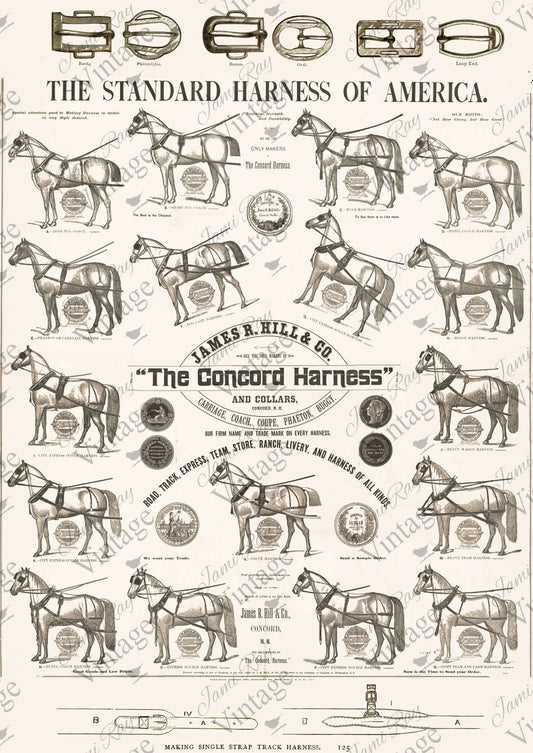 Concord Harness A4 JRV Rice Paper