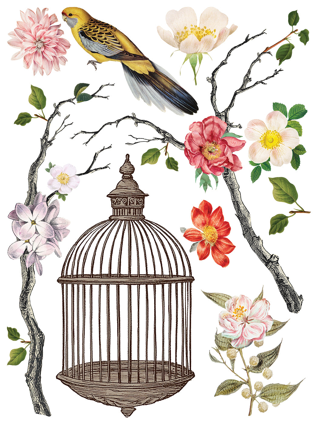 MENAGERIE IOD TRANSFER 12 x 16 PAD