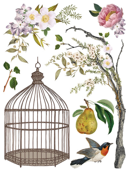MENAGERIE IOD TRANSFER 12 x 16 PAD