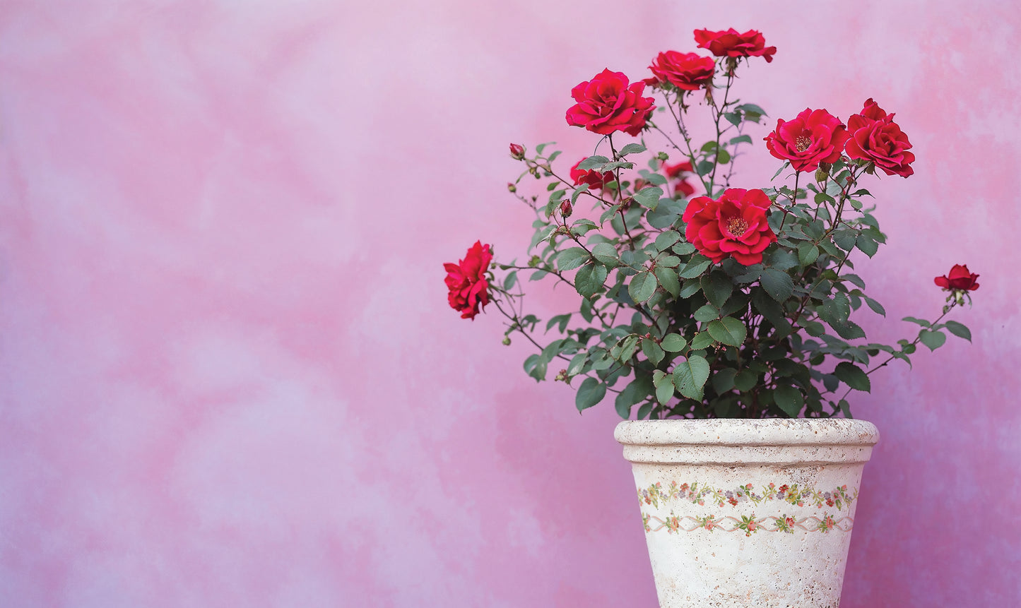 DITSY BLOOM Paint InLay by IOD