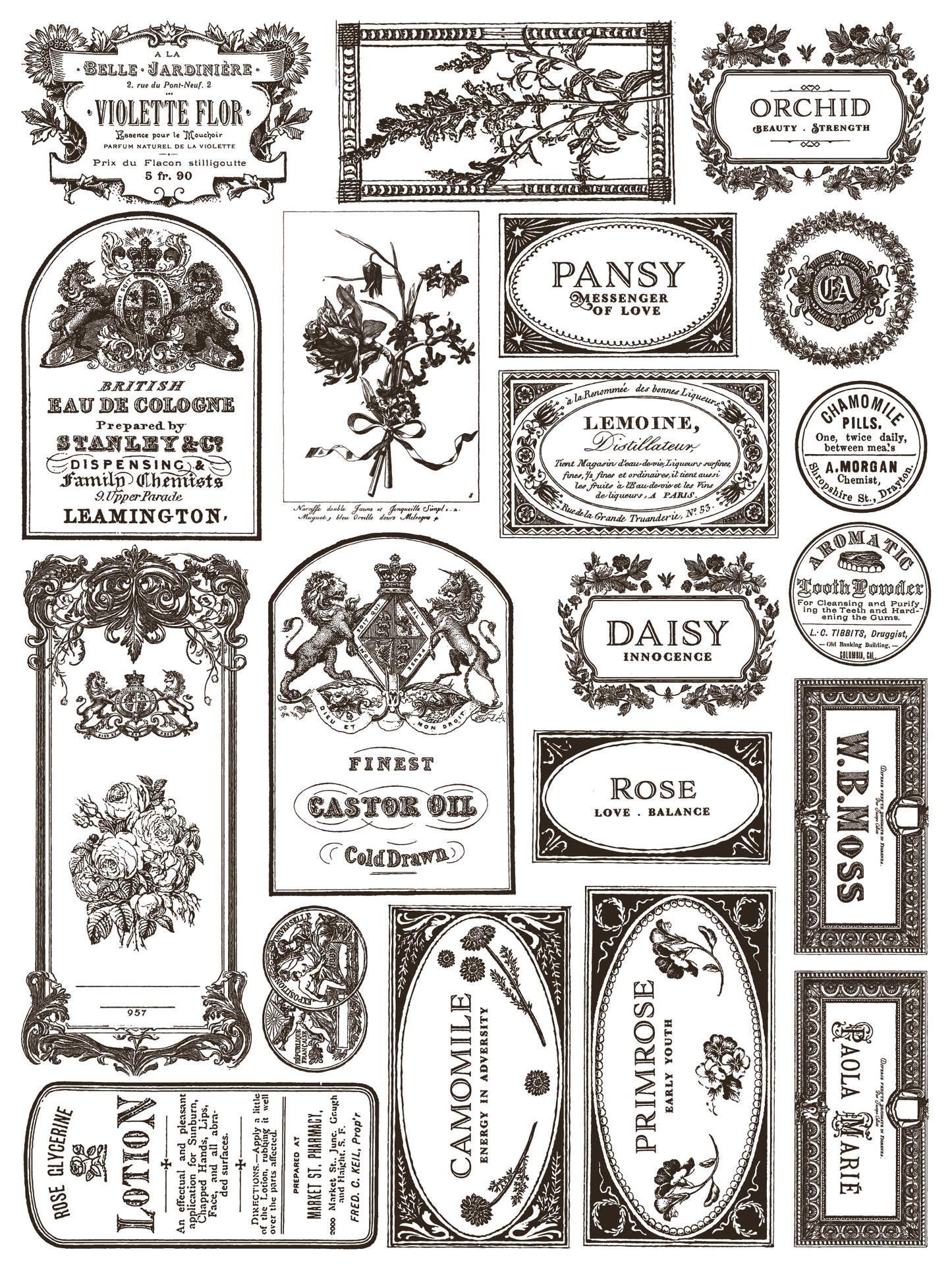 FLORIOGRAPHY Paint In-Lay by IOD