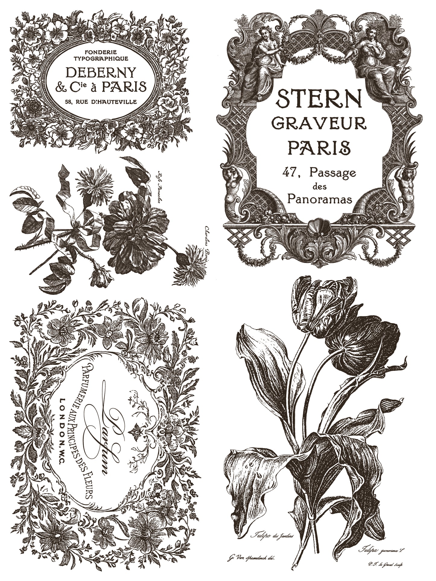 FLORIOGRAPHY Paint In-Lay by IOD