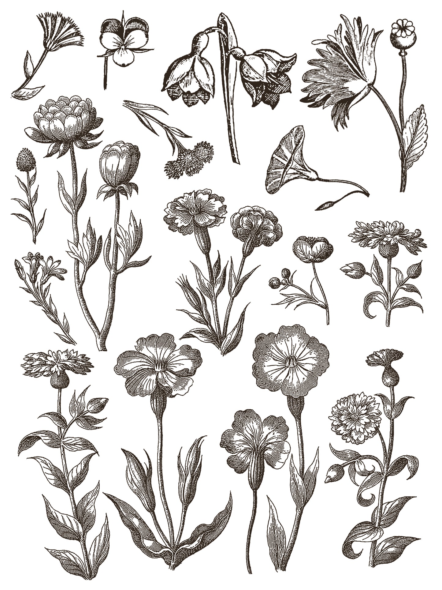 FLORIOGRAPHY Paint In-Lay by IOD