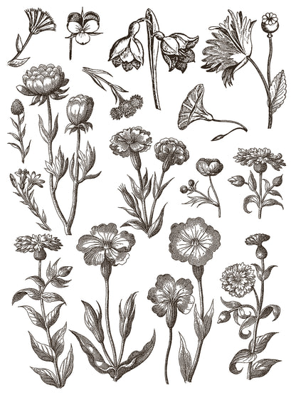 FLORIOGRAPHY Paint In-Lay by IOD