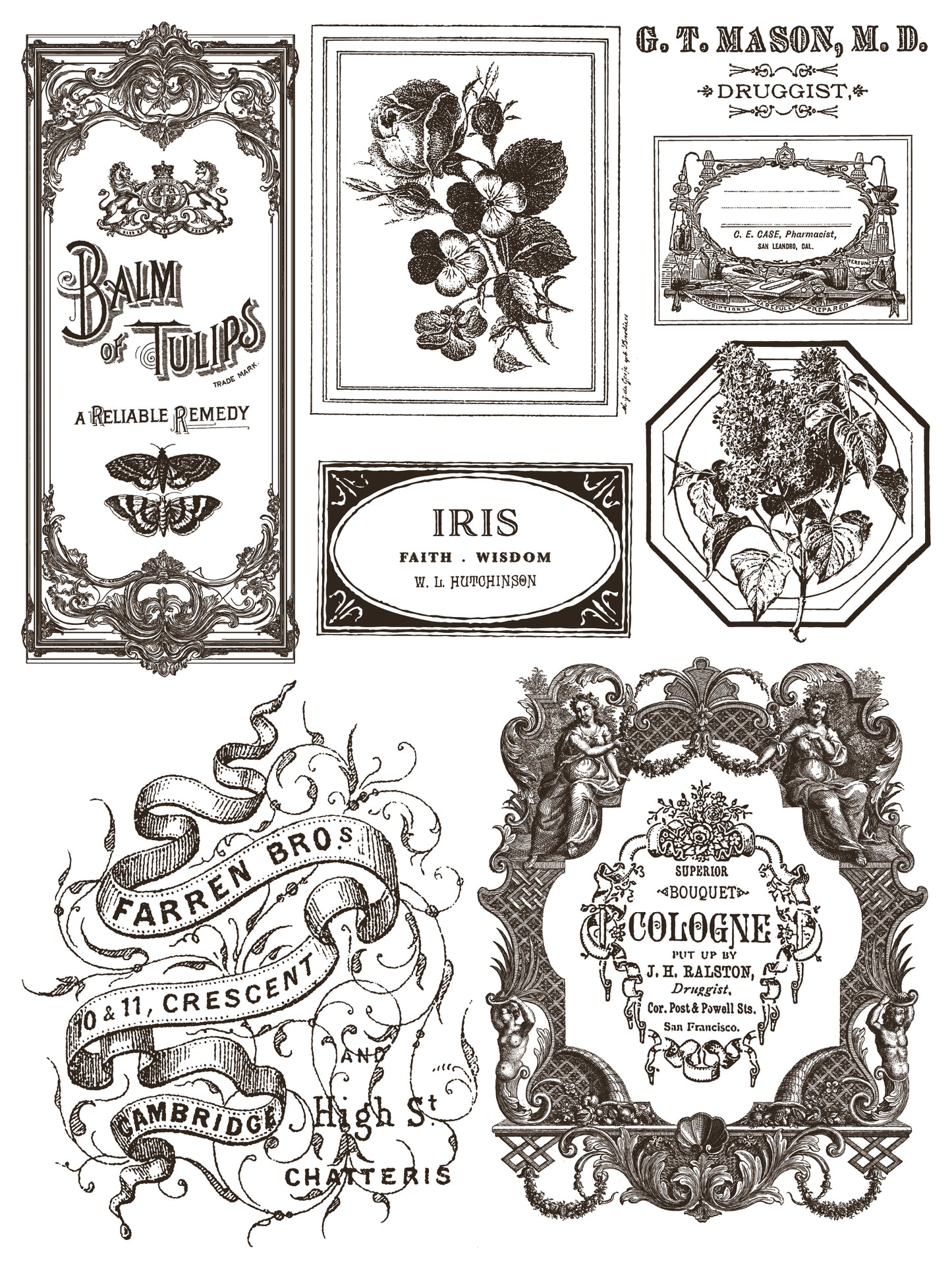 FLORIOGRAPHY Paint In-Lay by IOD