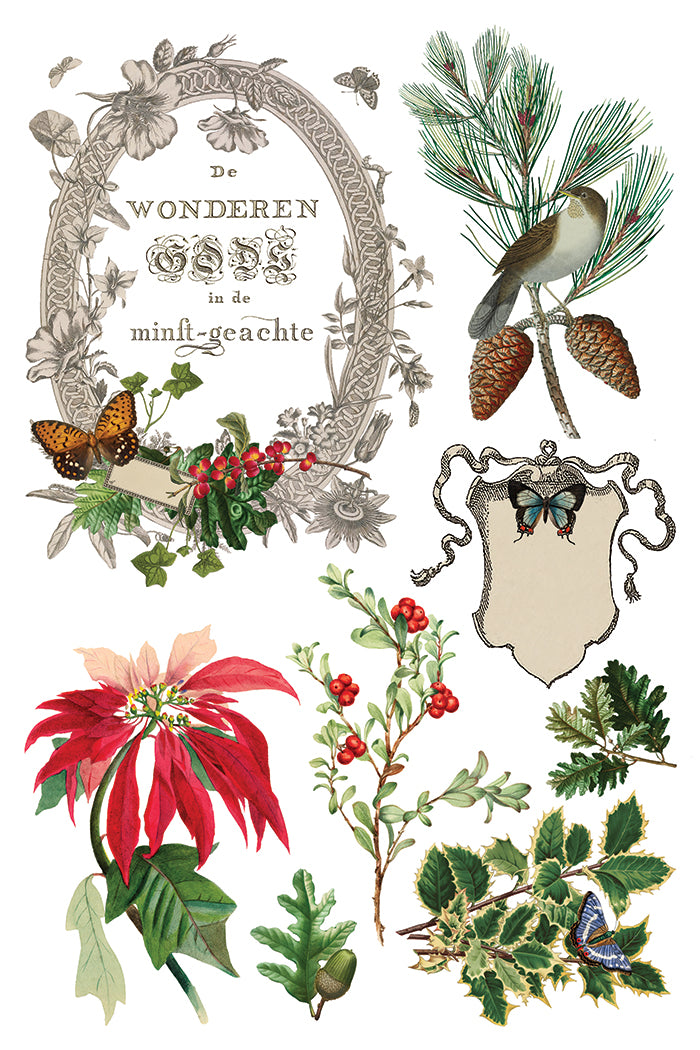 PRE- ORDER IOD - Winter Botanist TRANSFER 8 x 12” PAD