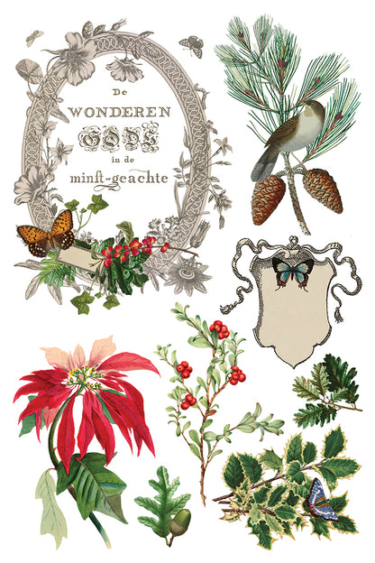 PRE- ORDER IOD - Winter Botanist TRANSFER 8 x 12” PAD