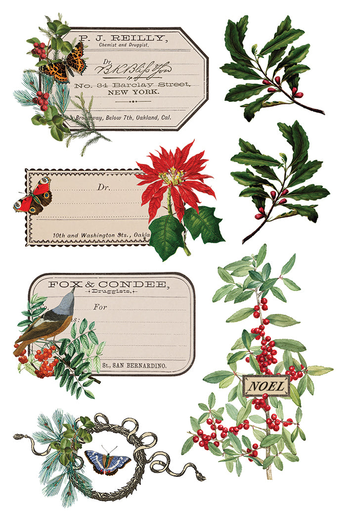 PRE- ORDER IOD - Winter Botanist TRANSFER 8 x 12” PAD
