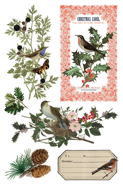PRE- ORDER IOD - Winter Botanist TRANSFER 8 x 12” PAD