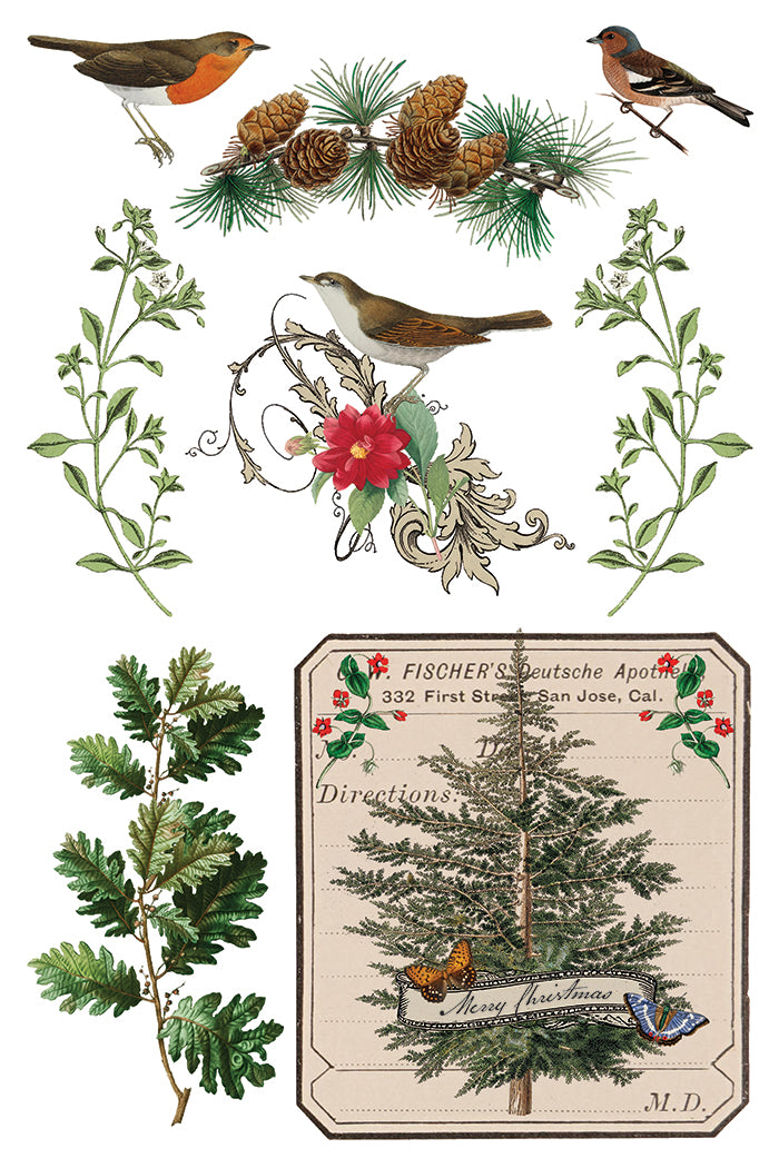 PRE- ORDER IOD - Winter Botanist TRANSFER 8 x 12” PAD