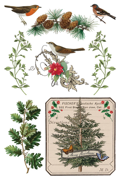 PRE- ORDER IOD - Winter Botanist TRANSFER 8 x 12” PAD