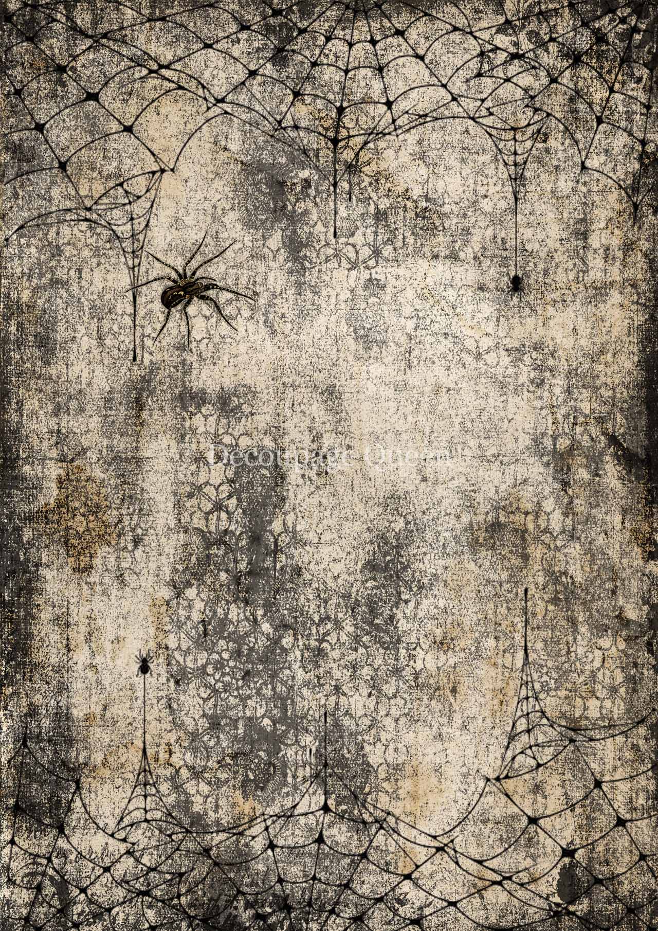 Webs and Spiders Rice Paper A4