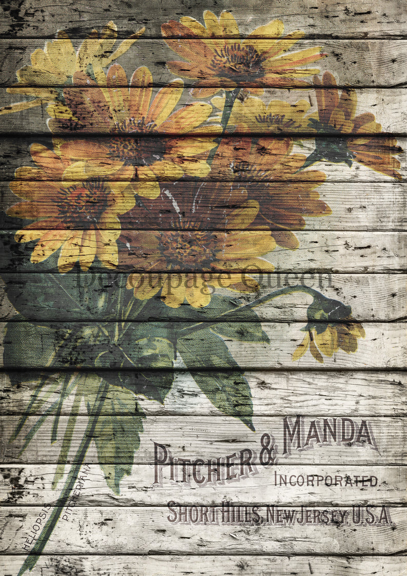 Pitcher and Manda- Rice Paper