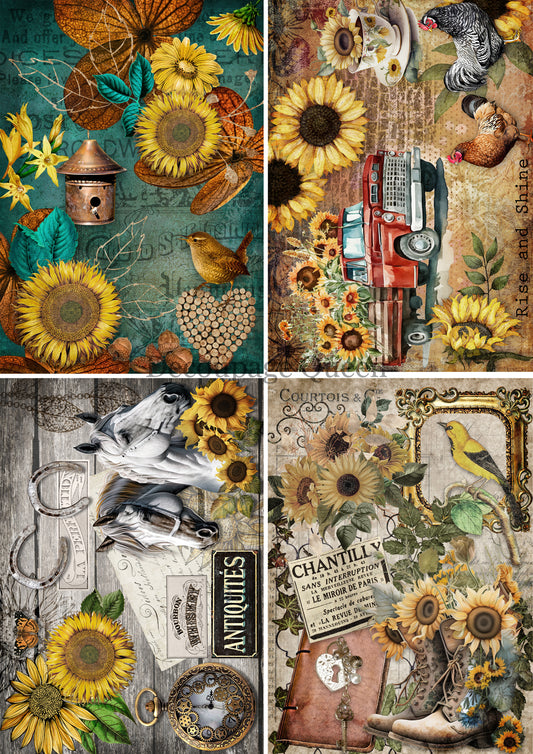 Country Sunflowers  4 Pack Rice Paper A4