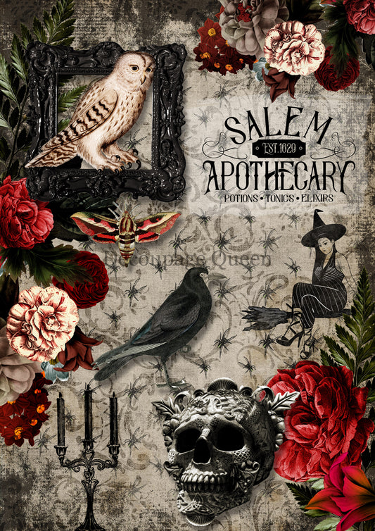 Salem Apothecary - Rice Paper