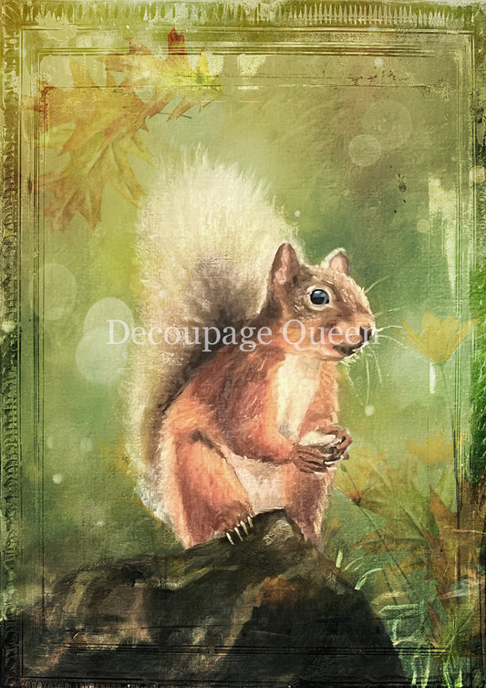 Teresa Rene Art Woodland Squirrel Rice Paper A3