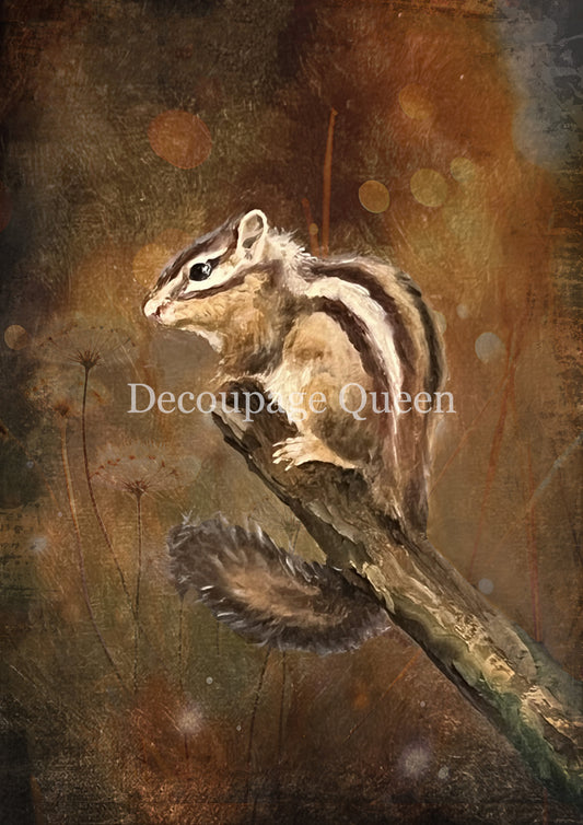 Teresa Rene Art Resting Chipmunk Rice Paper A3