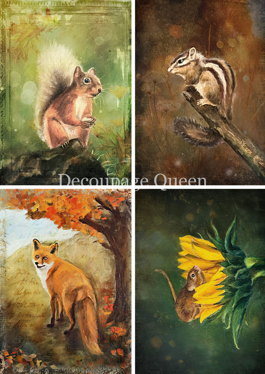 Teresa Rene Art Woodland Creatures  4 Pack Rice Paper A3