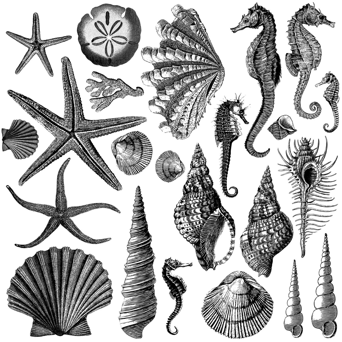 The Cottage Coast Collection