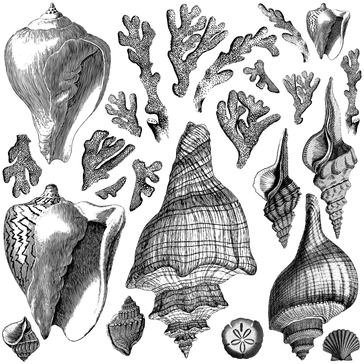The Cottage Coast Collection