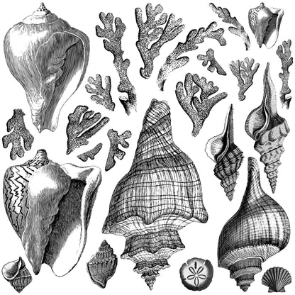 The Cottage Coast Collection