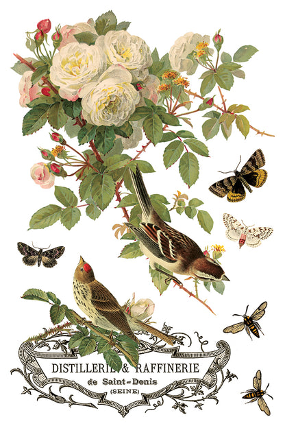 IOD - By Any Other Name  TRANSFER 8 x 12” PAD