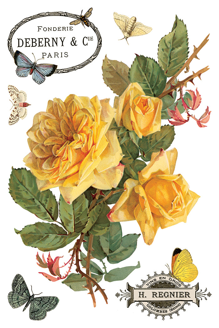 IOD - By Any Other Name  TRANSFER 8 x 12” PAD