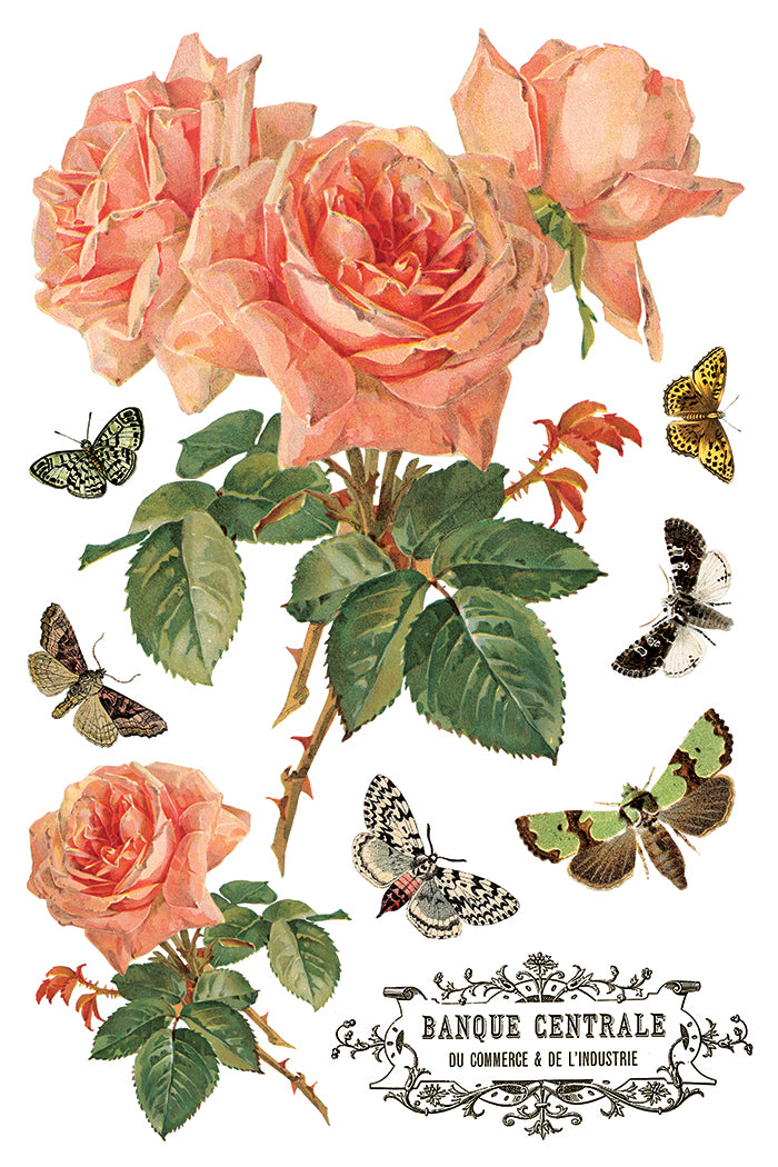 IOD - By Any Other Name  TRANSFER 8 x 12” PAD