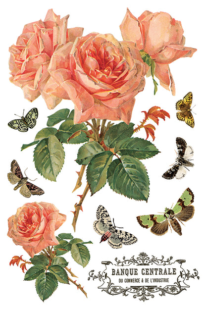 IOD - By Any Other Name  TRANSFER 8 x 12” PAD