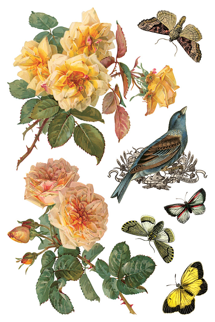 IOD - By Any Other Name  TRANSFER 8 x 12” PAD