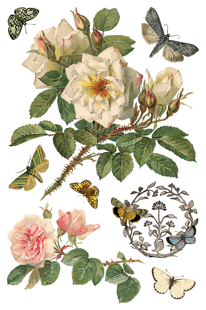 IOD - By Any Other Name  TRANSFER 8 x 12” PAD