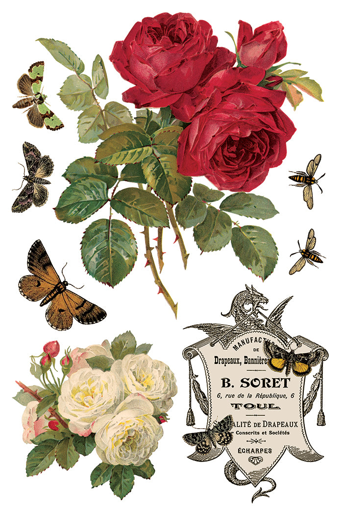 IOD - By Any Other Name  TRANSFER 8 x 12” PAD