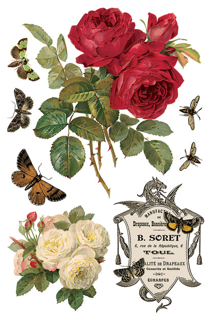 IOD - By Any Other Name  TRANSFER 8 x 12” PAD