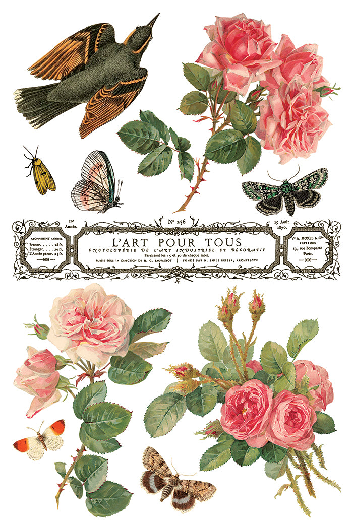 IOD - By Any Other Name  TRANSFER 8 x 12” PAD