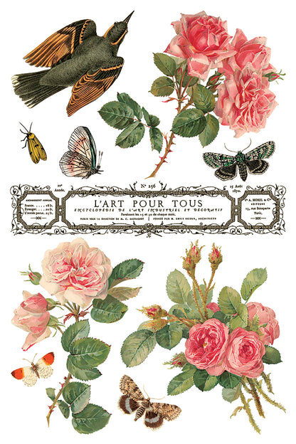 IOD - By Any Other Name  TRANSFER 8 x 12” PAD