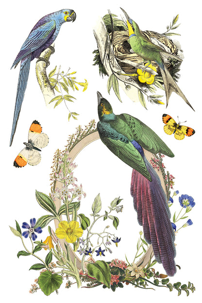 IOD -  Flora Greca TRANSFER 8 x 12” PAD