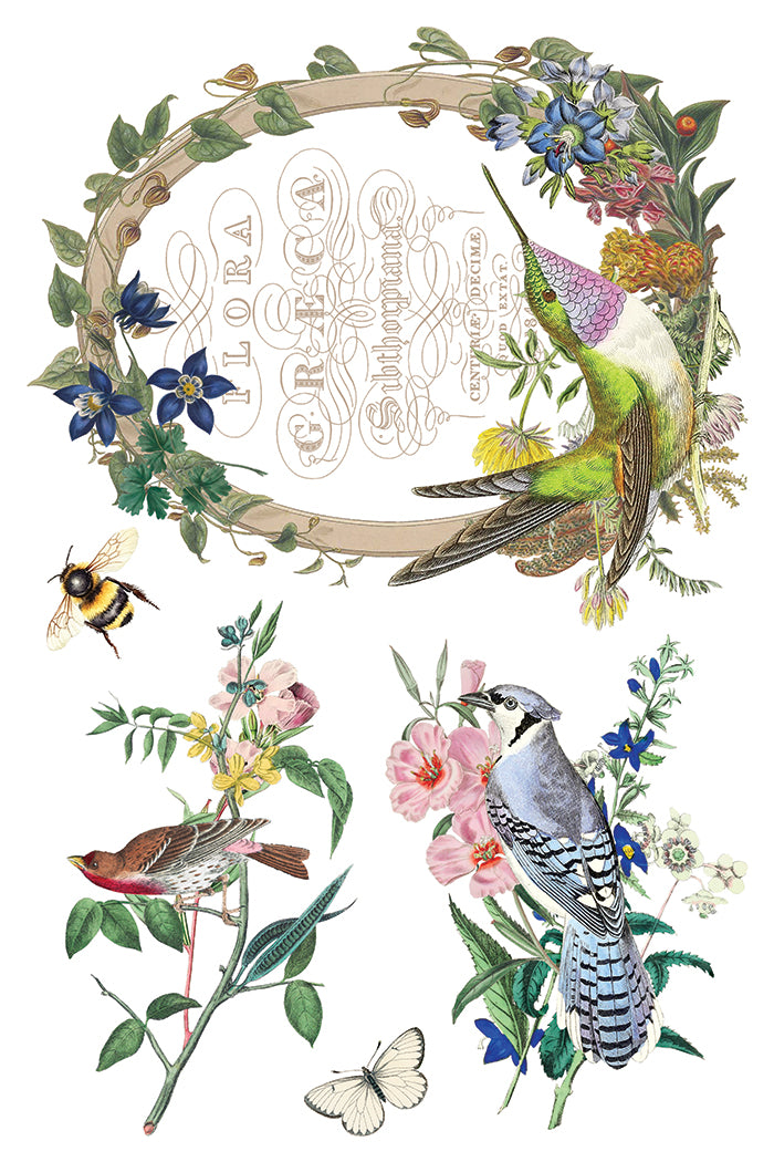 IOD -  Flora Greca TRANSFER 8 x 12” PAD