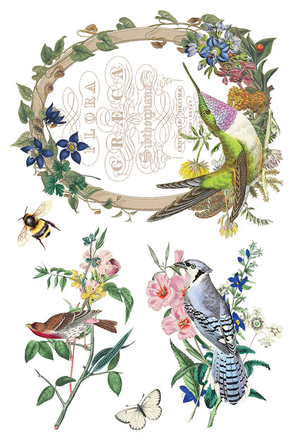 IOD -  Flora Greca TRANSFER 8 x 12” PAD