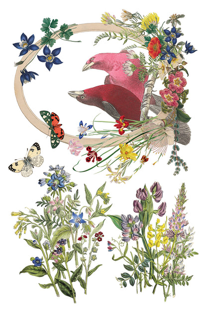 IOD -  Flora Greca TRANSFER 8 x 12” PAD