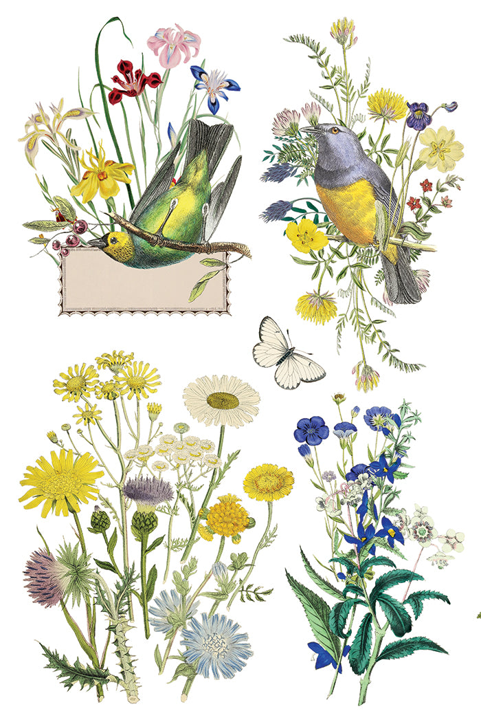 IOD -  Flora Greca TRANSFER 8 x 12” PAD