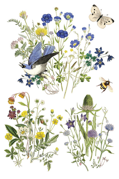 IOD -  Flora Greca TRANSFER 8 x 12” PAD