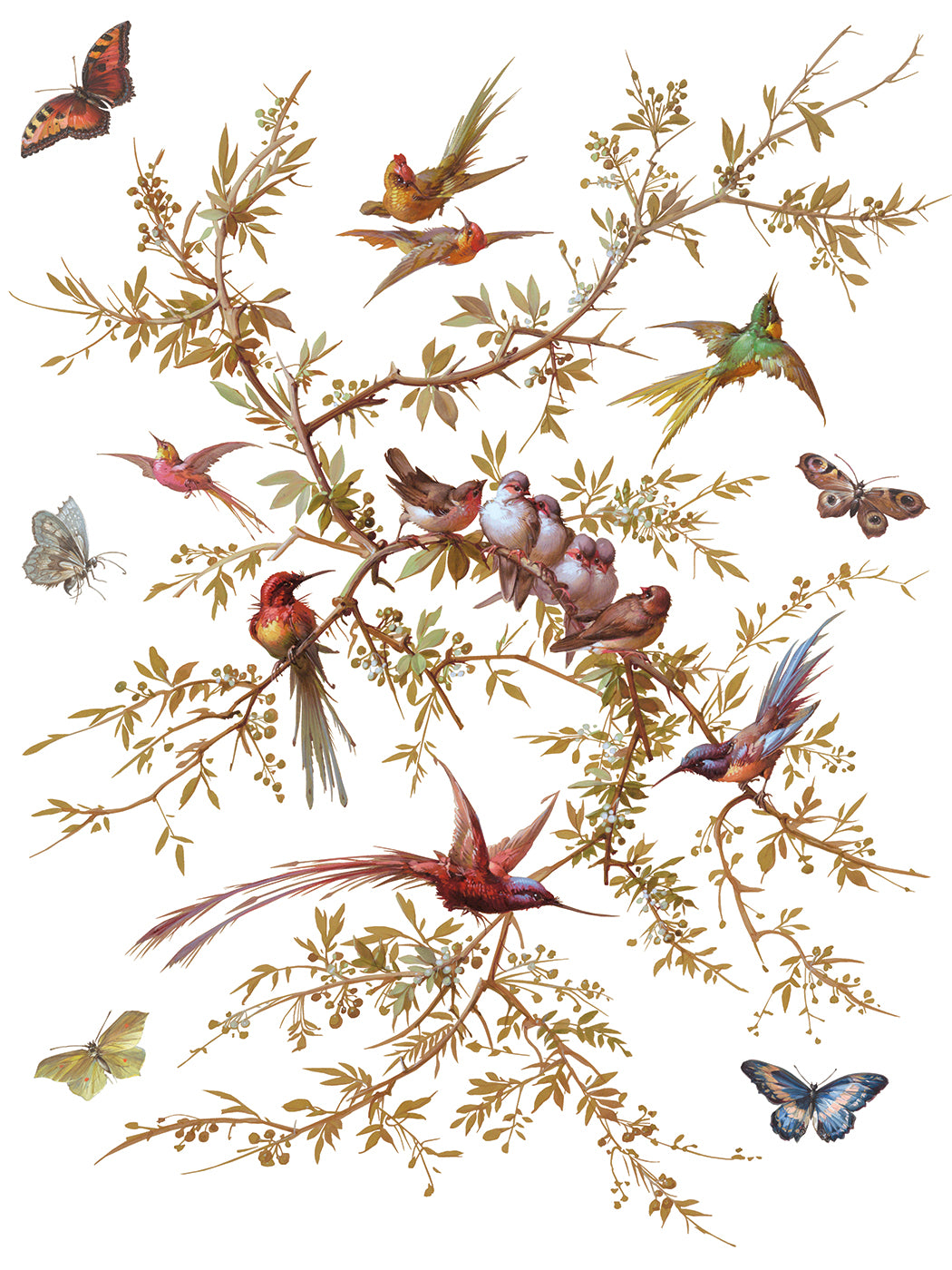 Pre- Order - Madeleine IOD TRANSFER 12 x 16 PAD