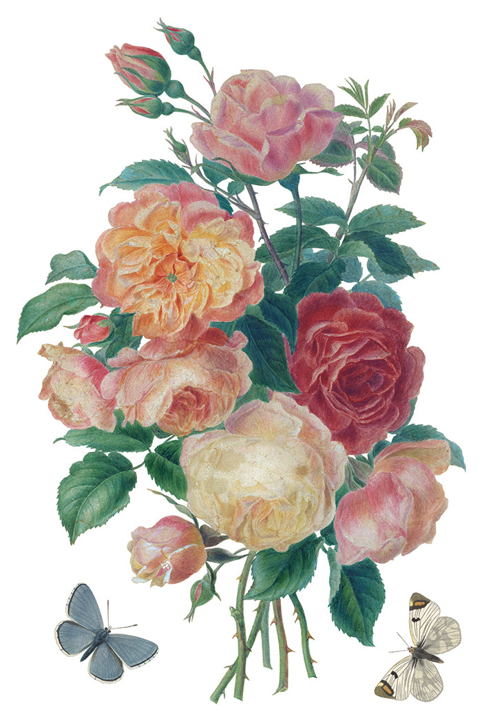 IOD -  Saint Ouen TRANSFER 8 x 12” PAD