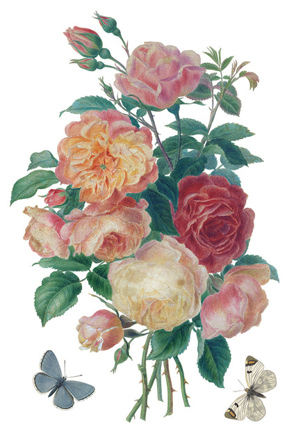 IOD -  Saint Ouen TRANSFER 8 x 12” PAD